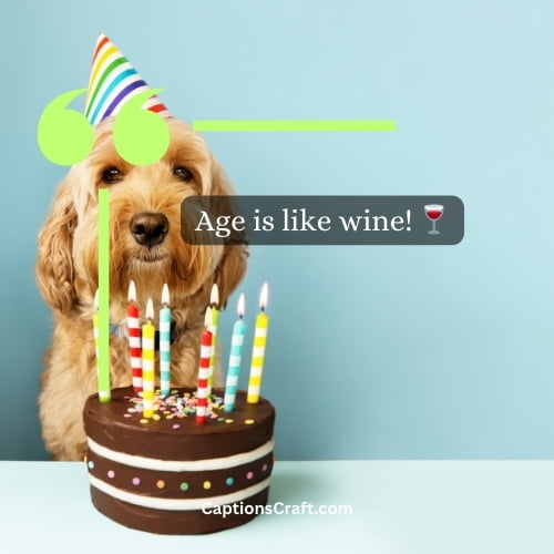 Best Funny Instagram Birthday Captions (Writers Choice)