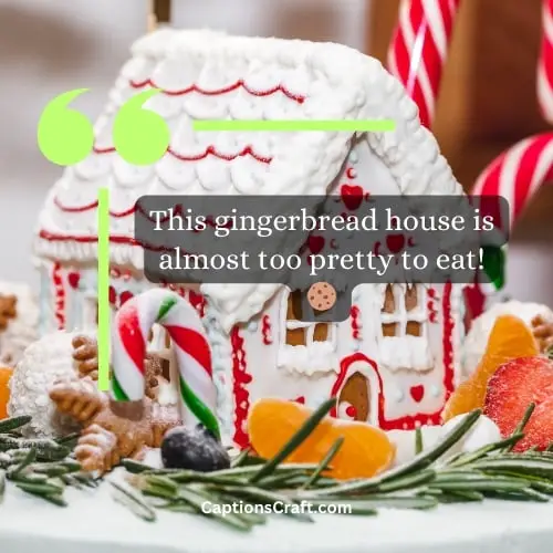 Best Gingerbread House Instagram Captions