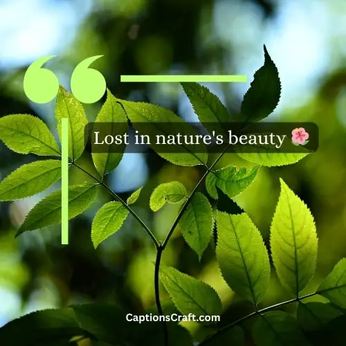 Best Green Nature Captions For Instagram (Writers Choice)