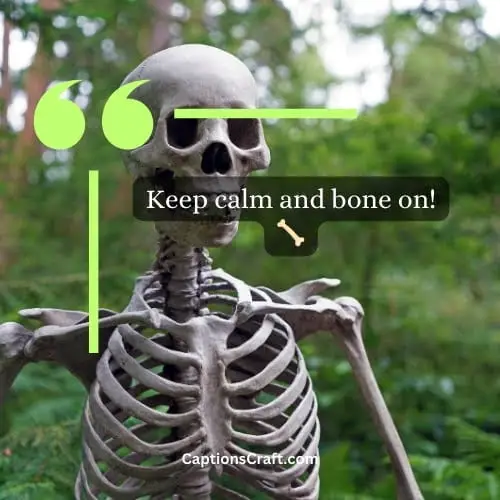 Best Skeleton Caption For Instagram (Writers Choice)
