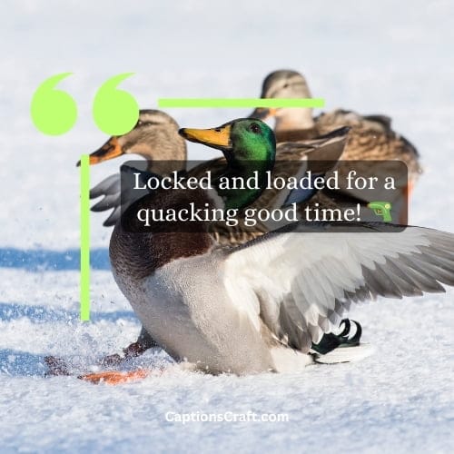 Duck Hunting Instagram Captions Top 200+ Captions for Your Waterfowl