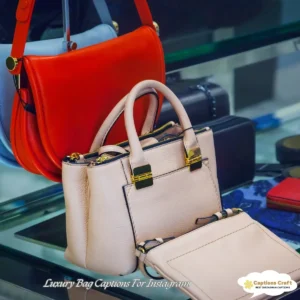 139+ Glamorous Luxury Bag Captions For Instagram and Quotes to Inspire Style