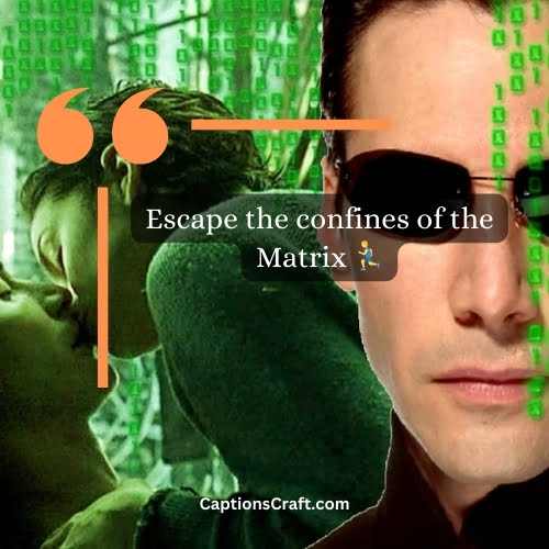 Matrix Captions