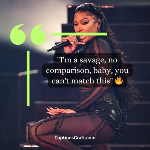 Megan Thee Stallion Lyrics for Instagram Captions