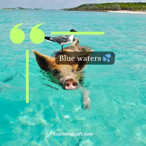 One Word Bahamas Instagram Captions