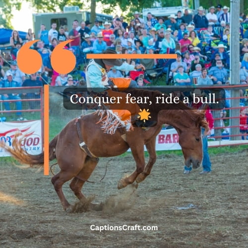 One-Word Bull Riding Captions For Instagram