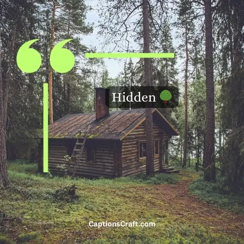 One Word Cabin Captions For Instagram