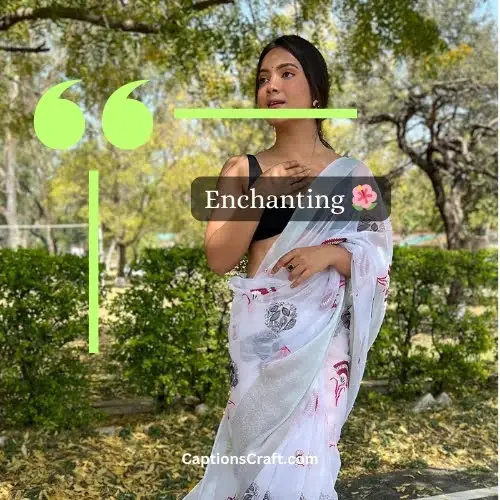 One Word Instagram Captions For Saree