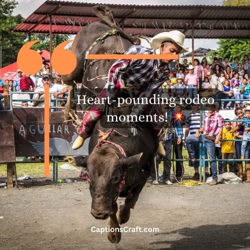 Three-Word Bull Riding Captions For Instagram (Editors Pick)