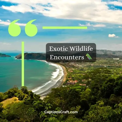 Three Word Costa Rica Instagram Captions (Editors Pick)