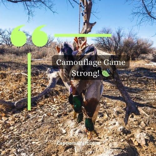 Duck Hunting Instagram Captions Top 200+ Captions for Your Waterfowl Adventures