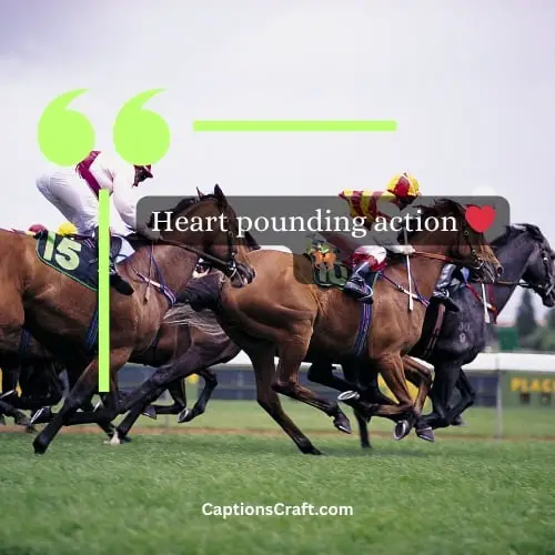 Three Word Horse Racing Instagram Captions (Editors Pick)