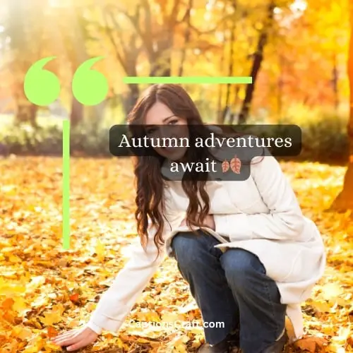 Three Word Instagram Autumn Captions (Editors Pick)