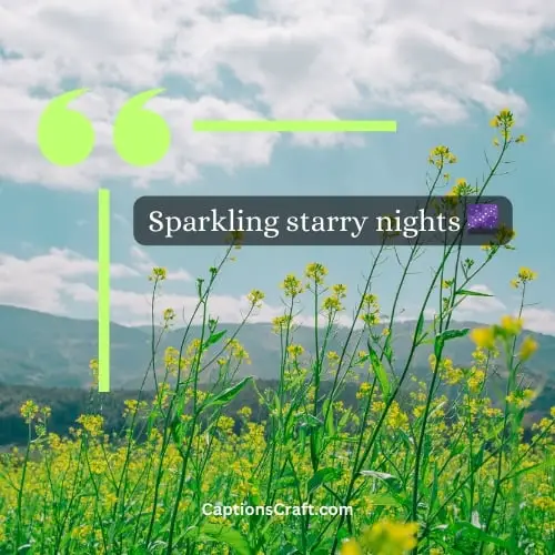 Three Word Nature Captions For Instagram (Editors Pick)