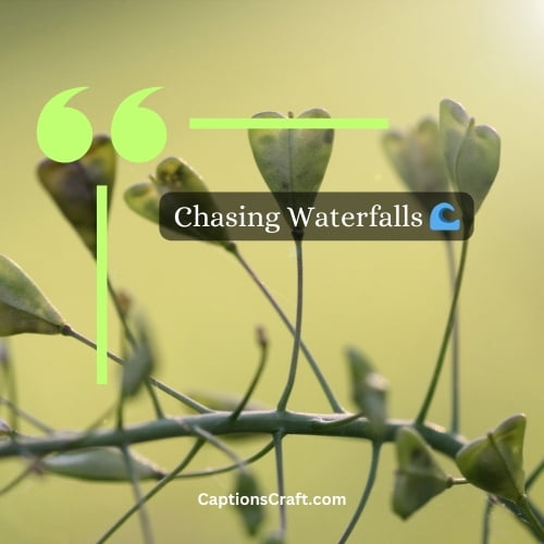 200+ Nature Love Caption For Instagram: Embracing the Beauty of Mother Earth 2 Three Word Nature Love Caption For Instagram (Editors Pick)