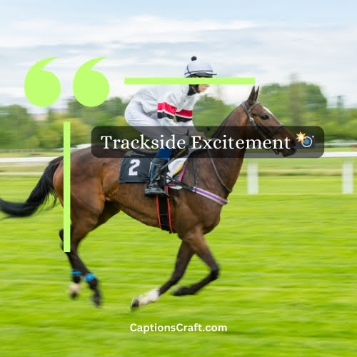 Trio-word Horse Races Instagram Captions (Editors Pick)