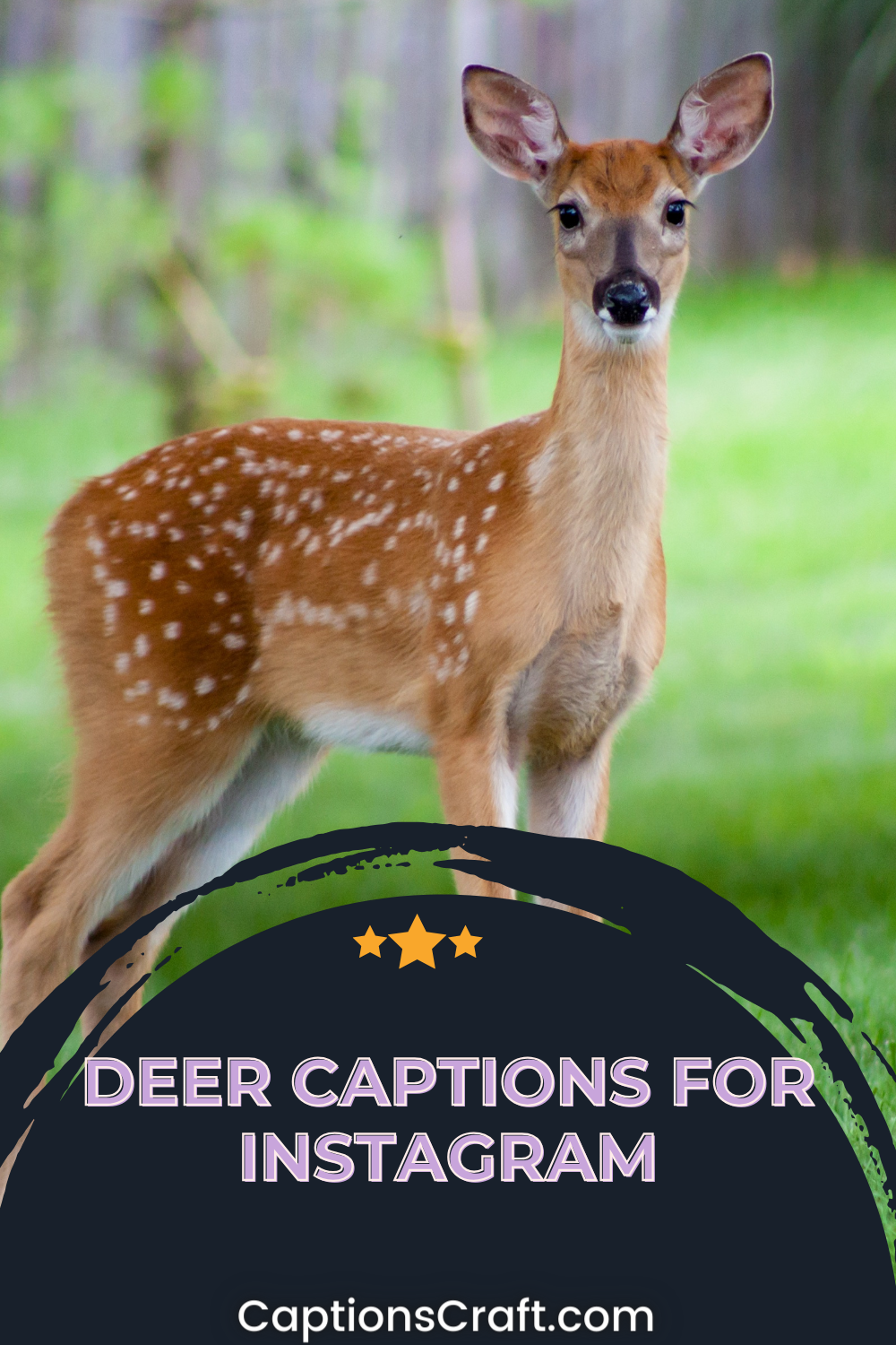 Cute Deer Captions For Instagram.html