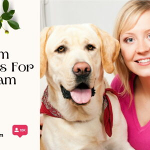 200+ Dog Mom Captions For Instagram To Celebrate Your Furry Best Friend zz