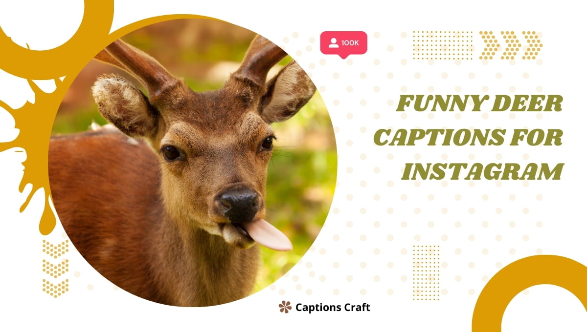 Funny Deer Captions For Instagram