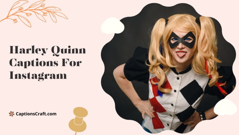 harley quinn captions for instagram