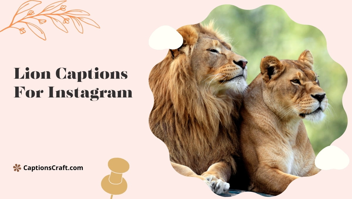 Lion Captions For Instagram