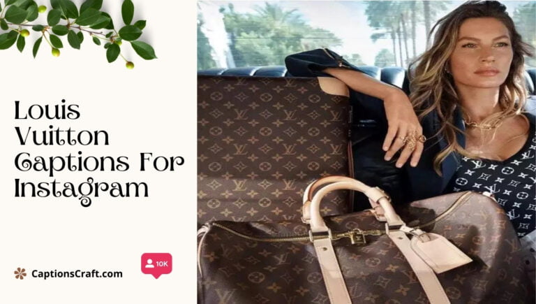 louis vuitton captions for instagram