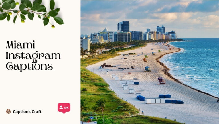 miami instagram captions