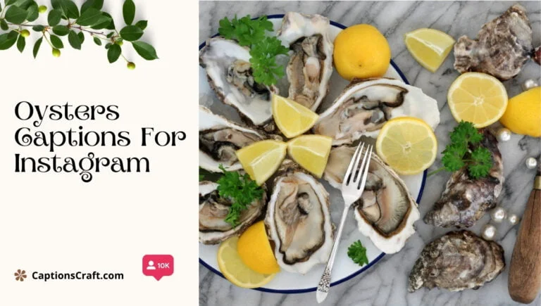 139+ Irresistible Oysters Captions For Instagram and Quotes to Savor Every Moment