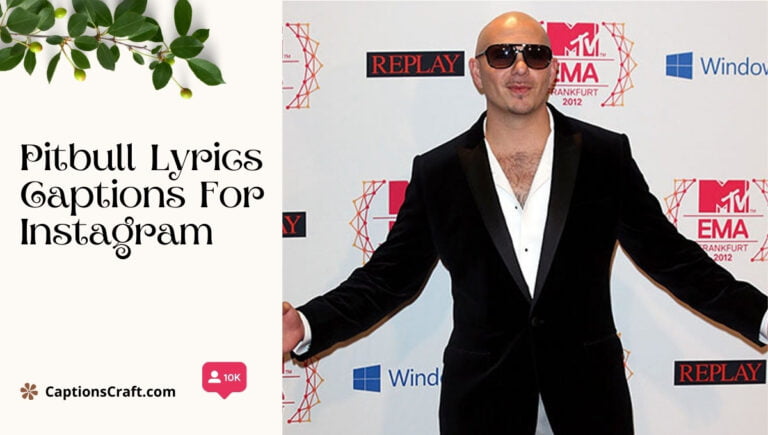 pitbull lyrics captions for instagram