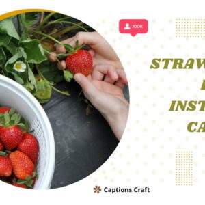 200+ Strawberry Picking Instagram Captions to Share the Sweet Moment