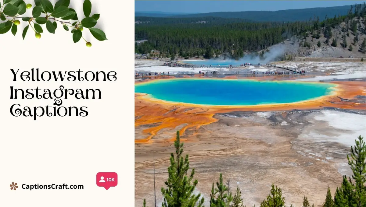 Yellowstone Instagram Captions