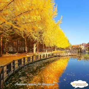 129+ Cozy Autumn Captions For Instagram and Quotes That Spark Joy