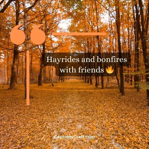 Best autumn captions for Instagram