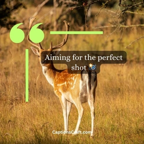 200+ Epic Deer Hunting Captions: Unleash Your Inner Hunter