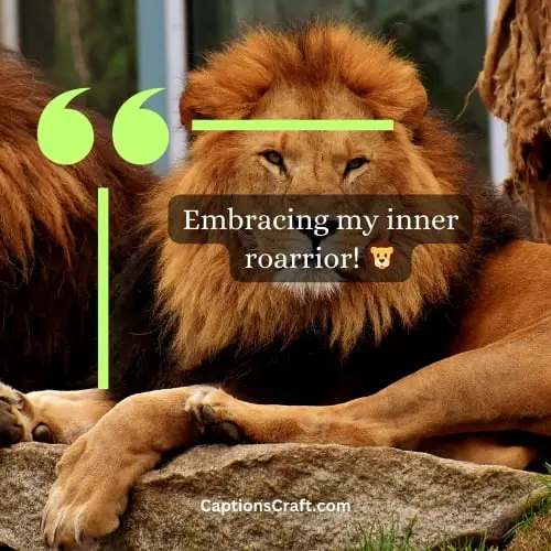 Hilarious Lion Instagram Captions