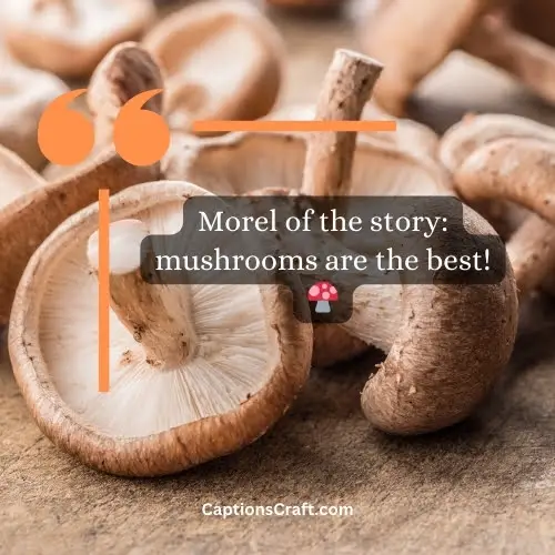 One-word Mushroom Captions For Instagram
