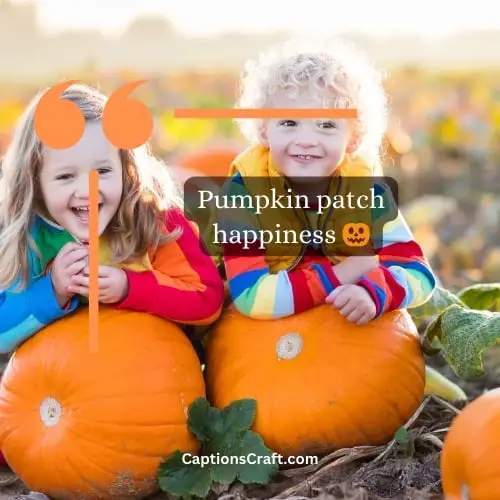 One-word Pumpkin Patch Instagram Captions