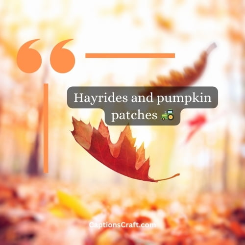 Superb Autumn Instagram Captions (Writers Choice)