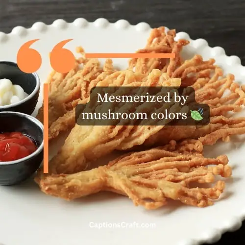 Superb Mushroom Captions For Instagram (Writers Choice)