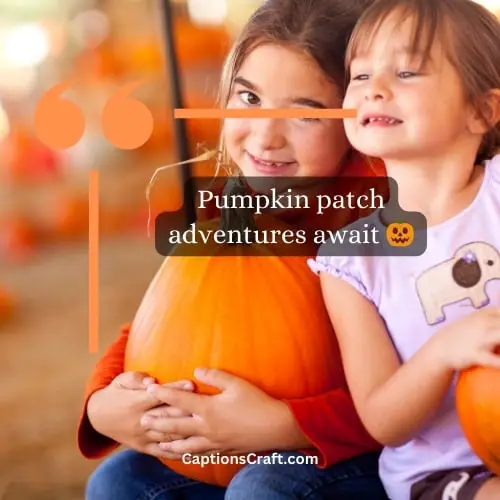 Superb Pumpkin Patch Instagram Captions (Writers Choice)