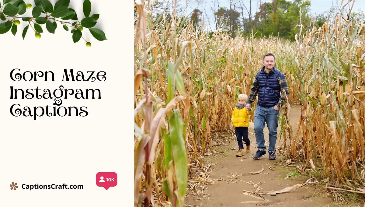 Three Word Corn Maze Instagram Captions (Editors Pick)