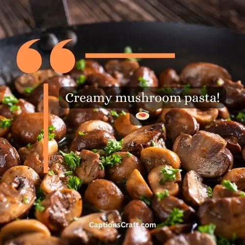 Three-word Mushroom Captions For Instagram (Editors Pick)