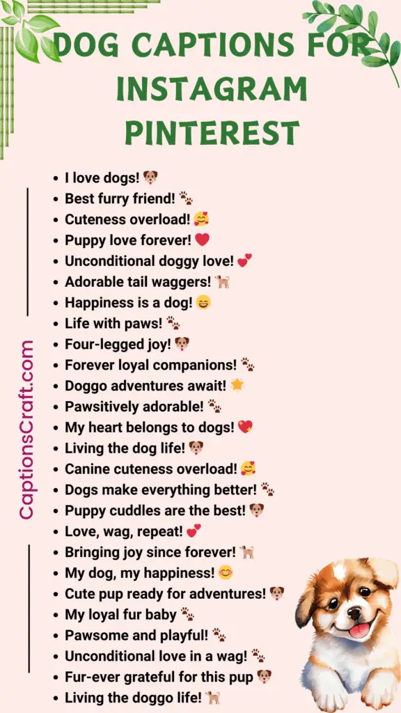 Dog Captions For Instagram Pinterest