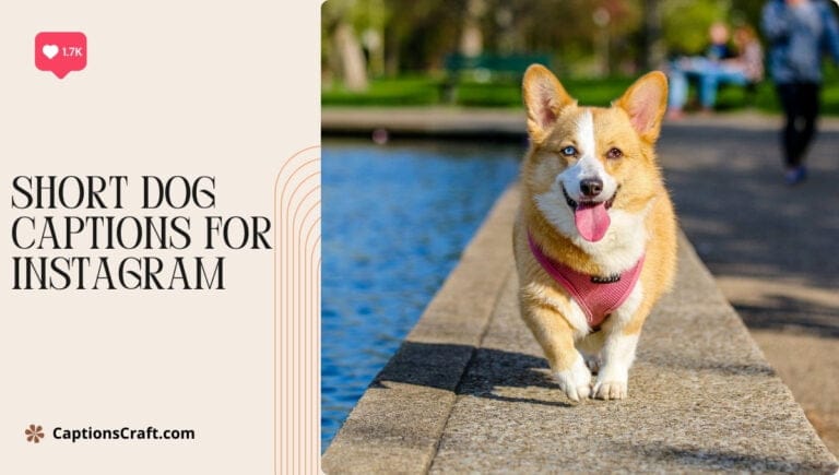 short dog captions for instagram