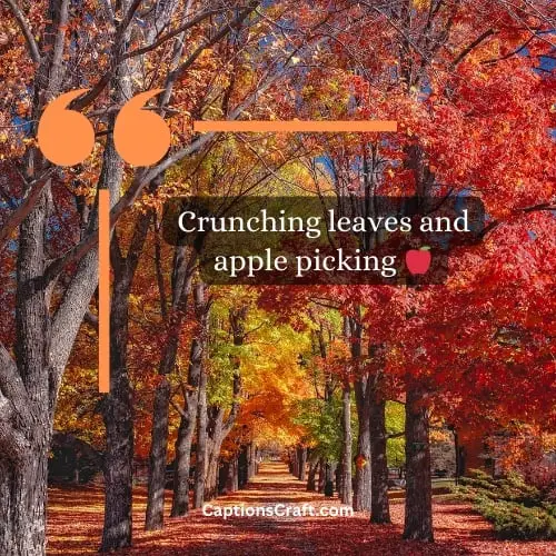 Best Fall Captions for Instagram