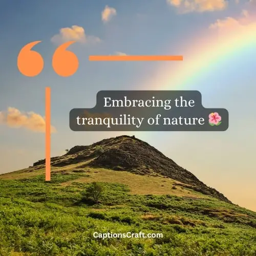 Best nature captions for Instagram