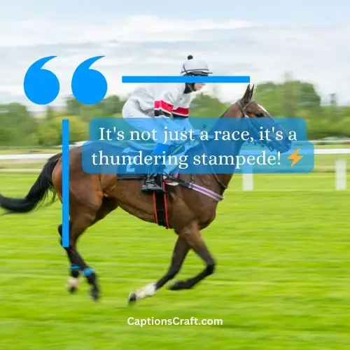 Hilarious Horse Racing Captions For Instagram