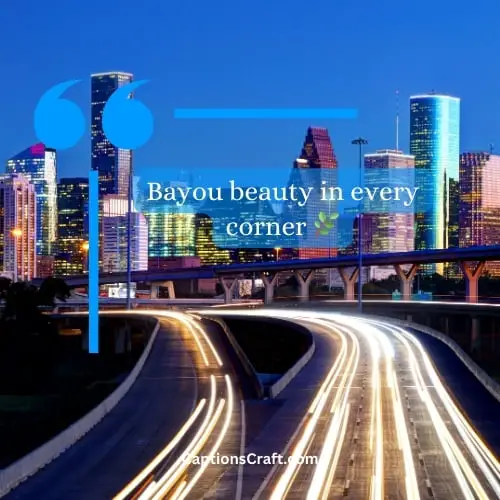 One-word Houston Captions For Instagram