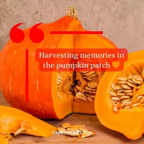 One-word Pumpkin Instagram Captions