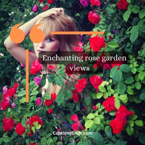 One-word Short Rose Captions For Instagram